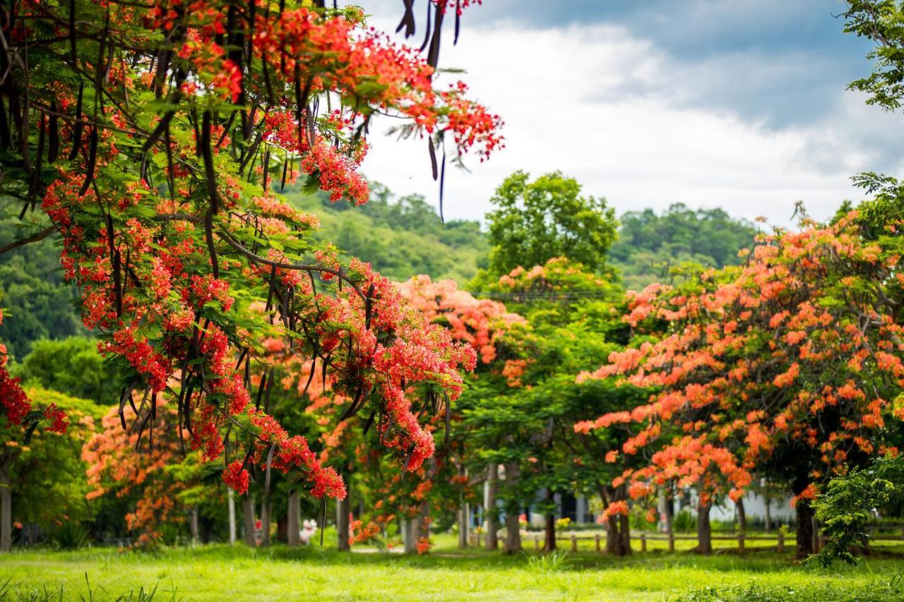 Diamond Hill Resort Nong Nam Daeng Екстер'єр фото